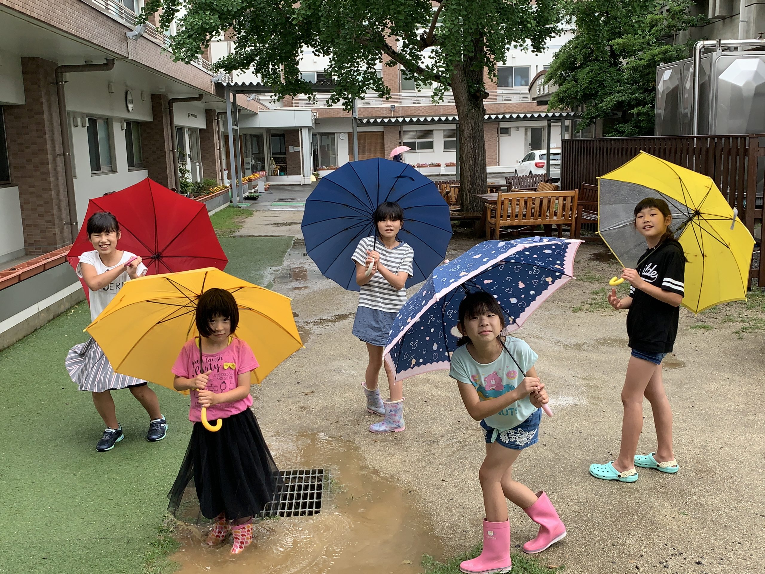 梅雨入り☂｜社会福祉法人 愛媛慈恵会